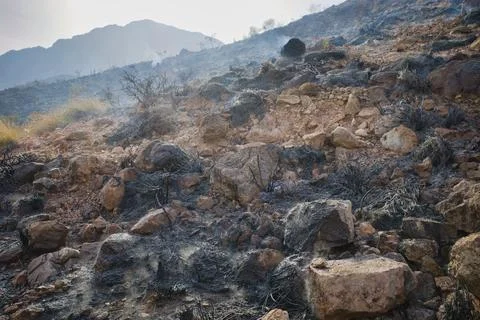 Burnt rocks dot a rugged, ash-covered hillside Stock Photos