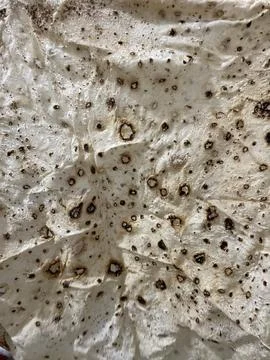 Burnt Roti Surface Stock Photos