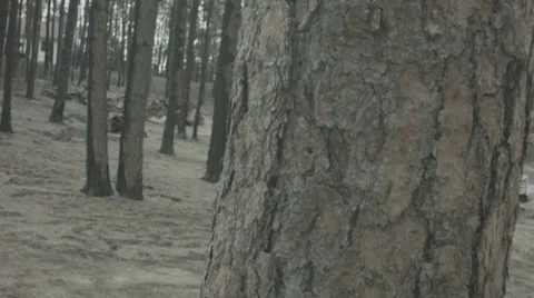 Burnt School Bus Stock Footage 30445965