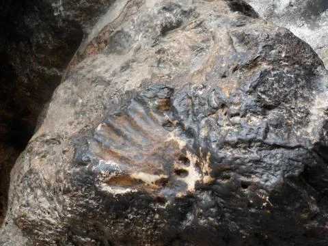 Burnt stone Stock Photos