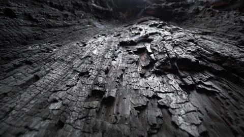 Burnt tree bark. Camera moves along charred sequoia tree in sequoia national Stock-Footage 127282620