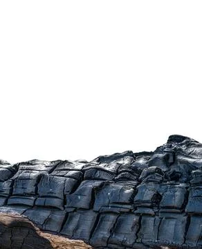 Burnt tree trunk detailed view against white background Stock Photos