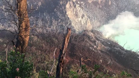 Burnt Trees on a Slope Overlooking an Active Volcanic Crater Stock-Footage 346740419