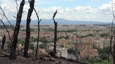 Burnt Vegetation with Rome Skyline After a Fire Stock Footage 285076491