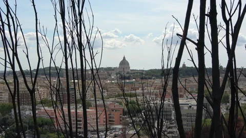 Burnt Vegetation with Rome Skyline After Monte Mario Fire Stock Footage 285077922