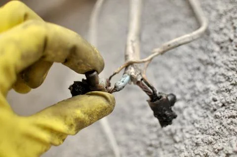 Burnt wiring when closed. Stock Photos