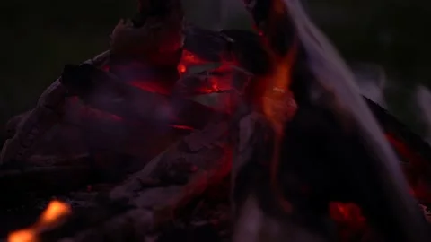 Burnt wood Видео 136423031