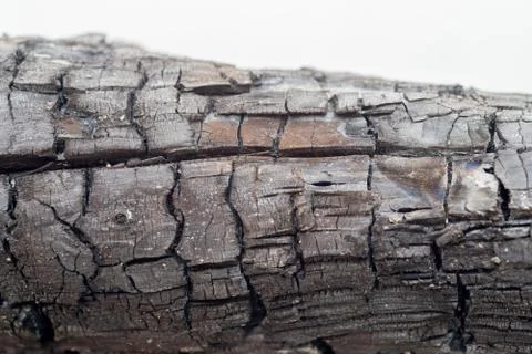 Burnt wood texture Stock Photos