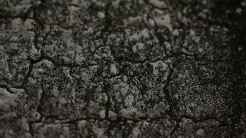 Burnt wooden surface Stock Footage 87813474