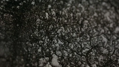 Burnt wooden surface Stock Footage 87813613