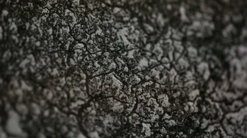 Burnt wooden surface Stock Footage 87813621