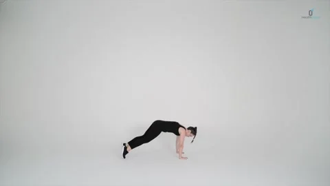 Burpee Stock Footage 314193910