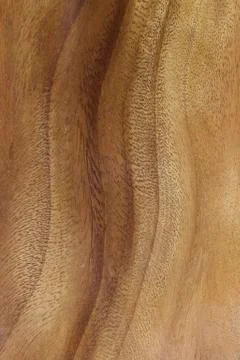 Burr wood texture background Foto stock