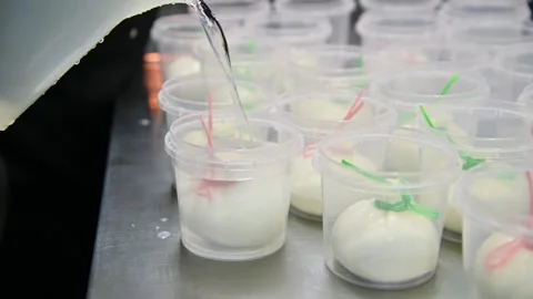 Burrata cheese production process with water pouring into plastic containers Stock Footage 336677753