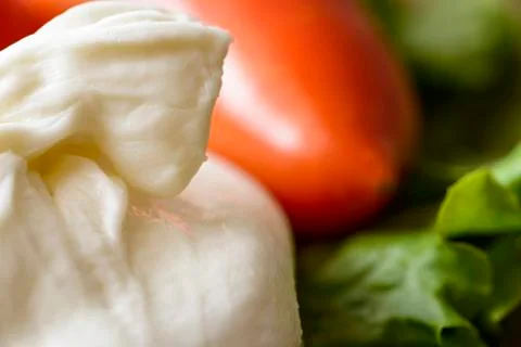 Burrata Stock Photos