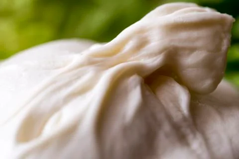 Burrata Stock Photos