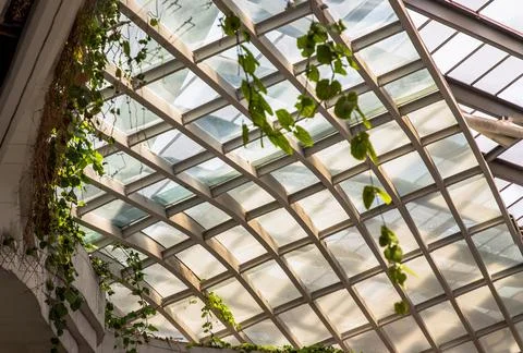 Burred light and shadow passing through glazed ceiling shines. Stock Photos