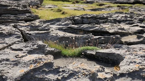 Burren 2 Stock-Footage 103404006