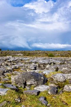 The Burren Stock Photos