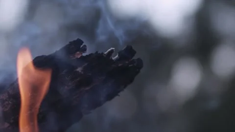 Burring wood fire in slow motion 8 Stock Footage 138373733