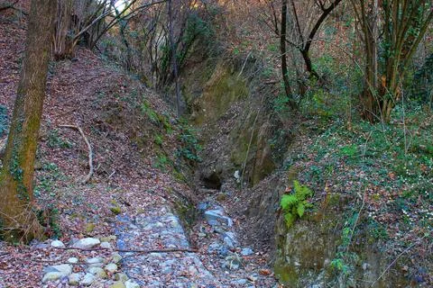 Burrone Stock Photos