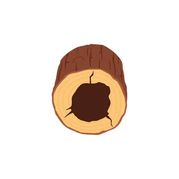 Burrow in tree stump for small animals, flat vector illustration isolated on Stock Illustration