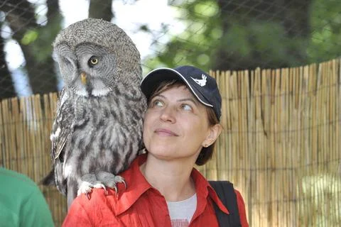  Burrowing owl,Athene cunicularia. Eine Frau mit Eule auf dem Schulter im ... Stock Photos