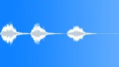 Burrowing Parrot-02-three callsSound Effect