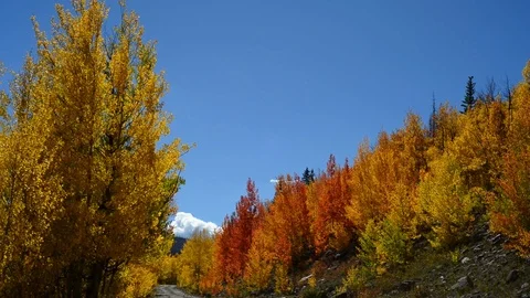 Burst of Color Road Stock Footage 101040449