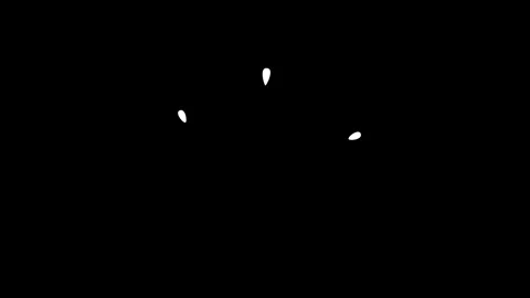 Burst elements, and decorative glowing sparkling star highlight, doodle sparkle Stock Footage 307831493