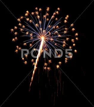 A burst of Fireworks in the night sky. Stock Photos
