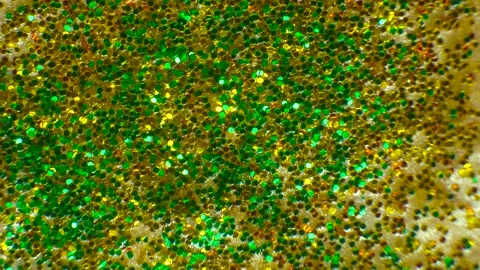 Burst Of Green Glitter Vídeo Stock 169434703