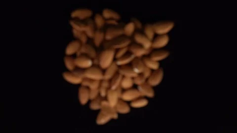 Burst of hazelnut on camera. Slow Motion 500fps 스톡 동영상 129190084