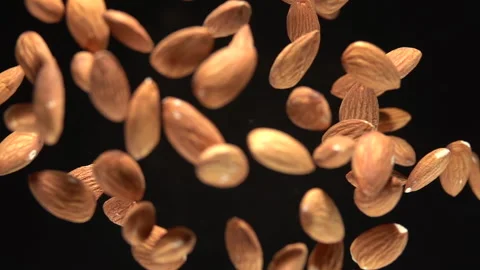 Burst of hazelnut on camera. Slow Motion 250fps 库存影片 152659222