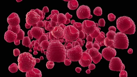 Burst of Raspberry in Black Background Stock Footage 150679744