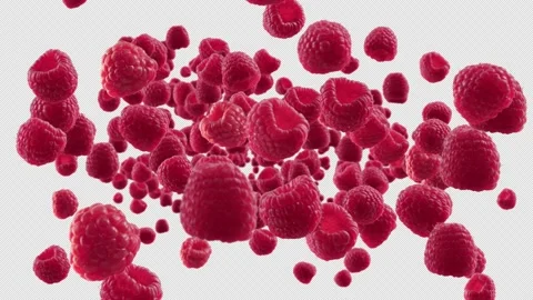 Burst of Raspberry in White Background with Alpha Channel 스톡 동영상 150711420