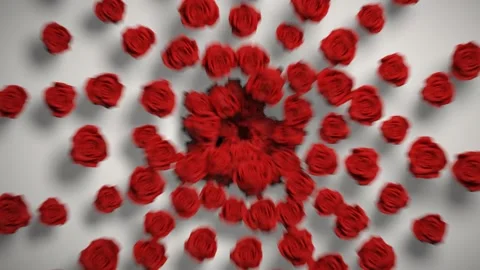 Burst of Roses Stock Footage 232060586