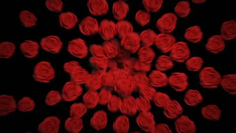 Burst of Roses Stock Footage 232060587