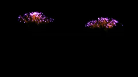 Bursting fireworks falling with trails Video stock 9877644