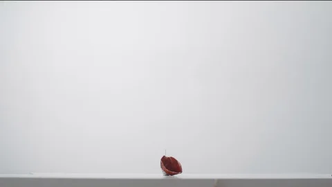 Bursting red balloon Video stock 81190516