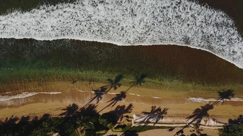 Bursting wave on the clean sandy beach near resort with tropical nature on maui, Stock Footage 100519663