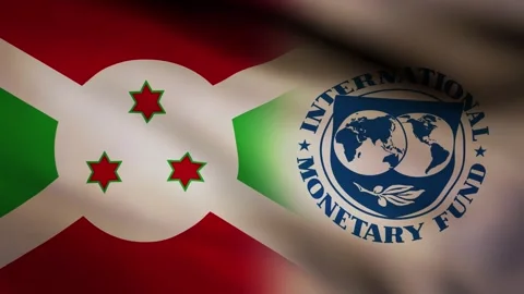 Burundi and IMF waving flag Stock Footage 245347350
