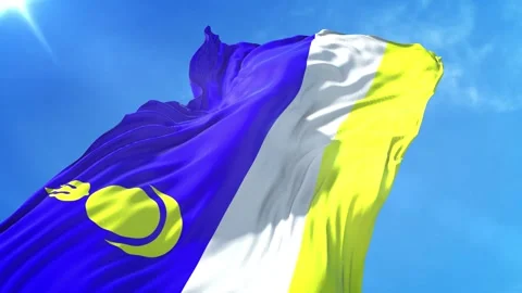 Buryatia Flag Low Angle View Stock Footage 295686785