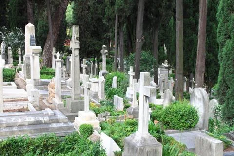 Burying ground 스톡 사진