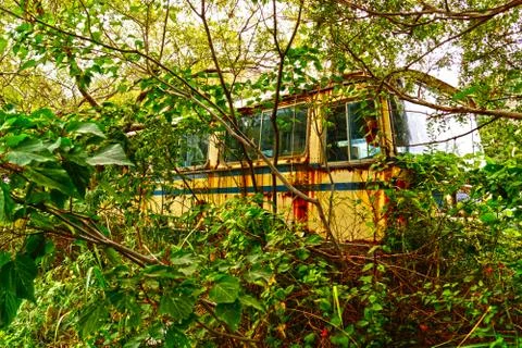 Bus abandoned in the forest Stock Photos