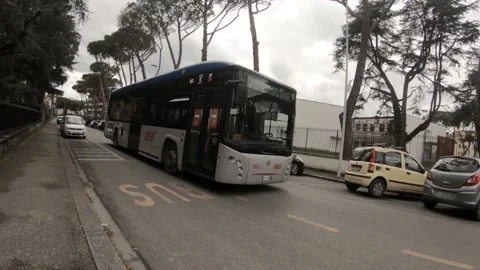 Bus arriving at the bus stop Stock Footage 155674738