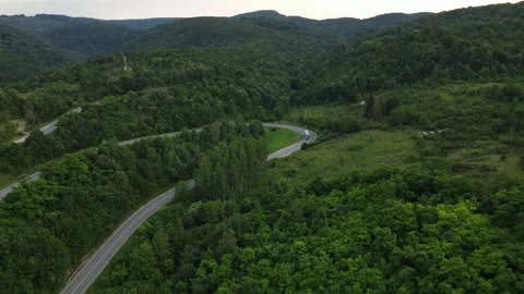 Bus drive on asphalt road in mountain range in summer travel concept 스톡 동영상 244882302