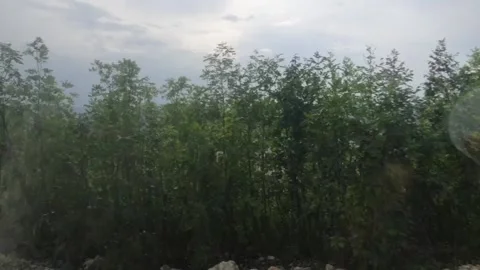 Bus drive view over big coal mine Stock Footage 233806080