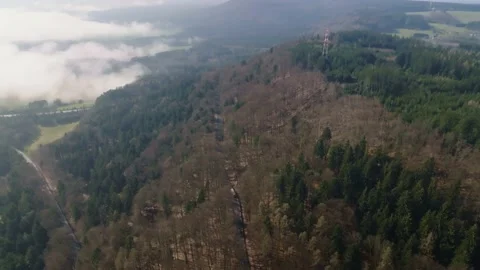 Bus driving up a forested hill overlooking a valley with fog on a sunny Stock Footage 238750982