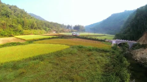 On the bus Stock Footage 235265216